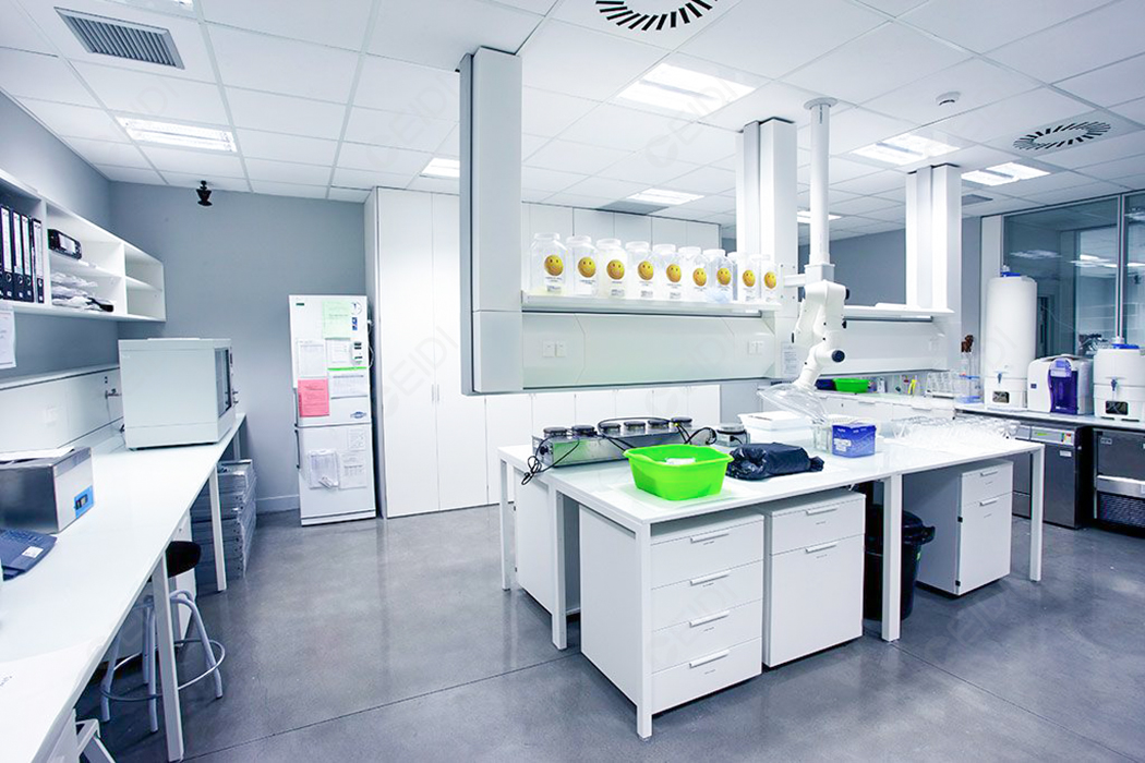 P2實(shí)驗(yàn)室設(shè)計(jì) P2實(shí)驗(yàn)室設(shè)計(jì)