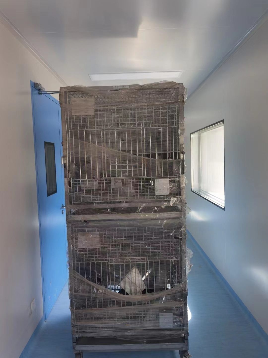 動物房實(shí)驗(yàn)室 動物房實(shí)驗(yàn)室