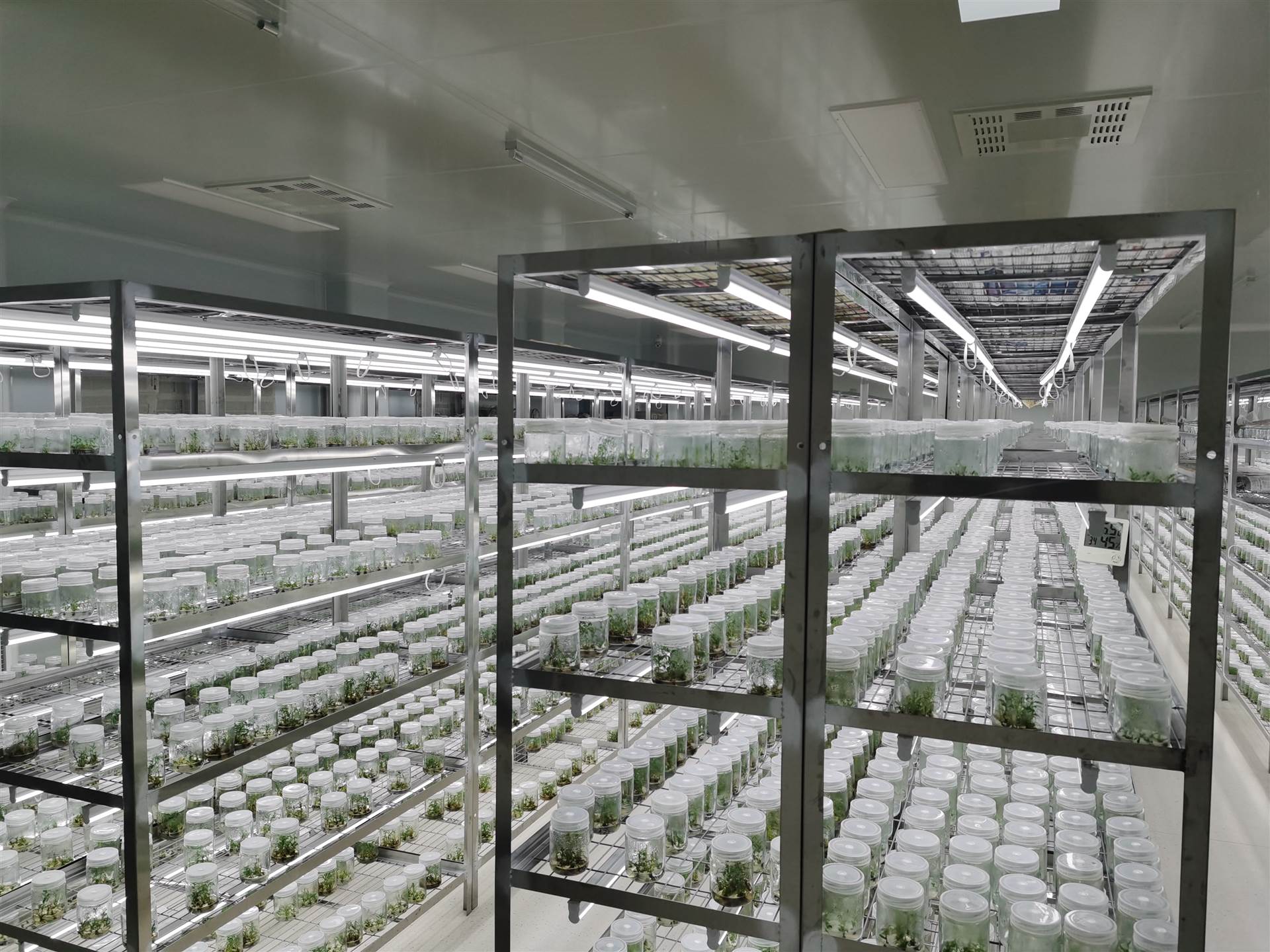 組培室凈化工程該如何設計？設計等級是什么？